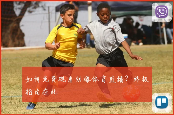 如何免费观看劲爆体育直播?终极指南在此