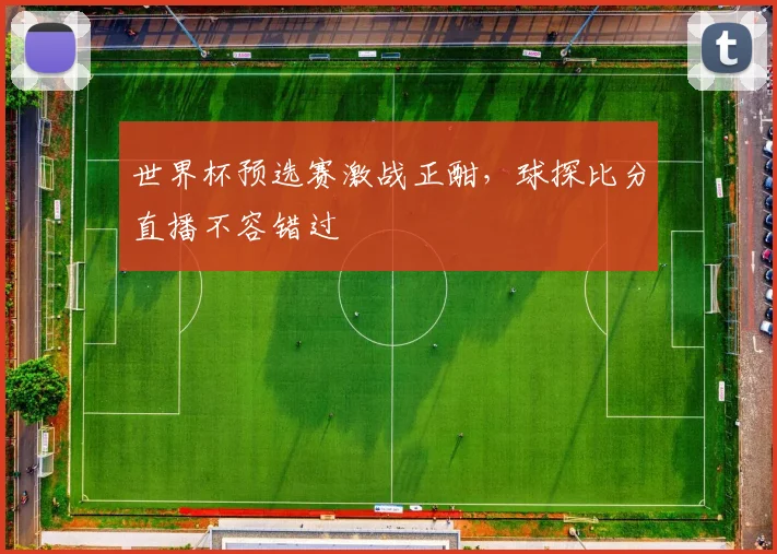 世界杯预选赛激战正酣，球探比分直播不容错过