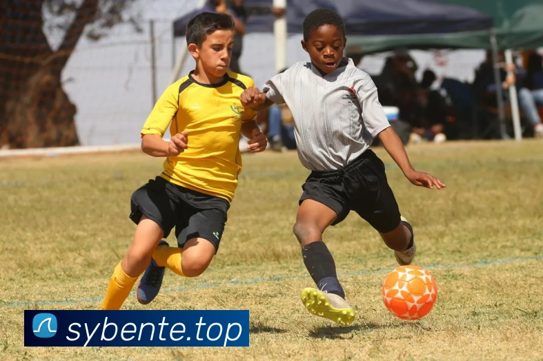 App Interface Preview